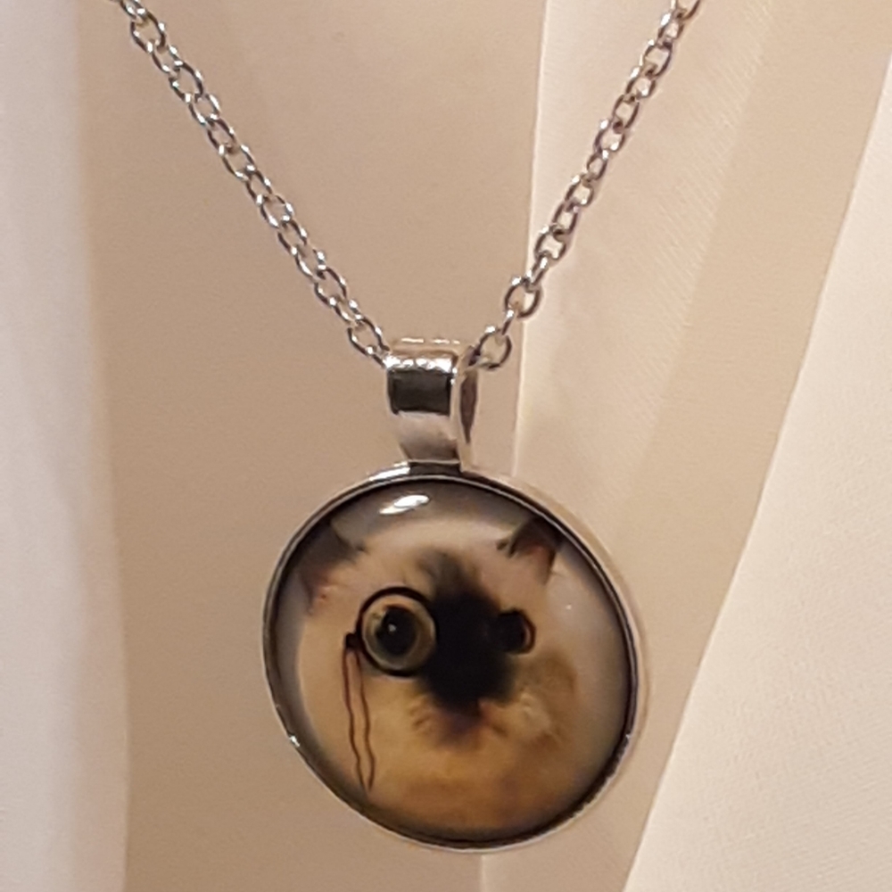 (G25) Cat with Specs Necklace 1" Silver Cabochon glass dome 16" chain